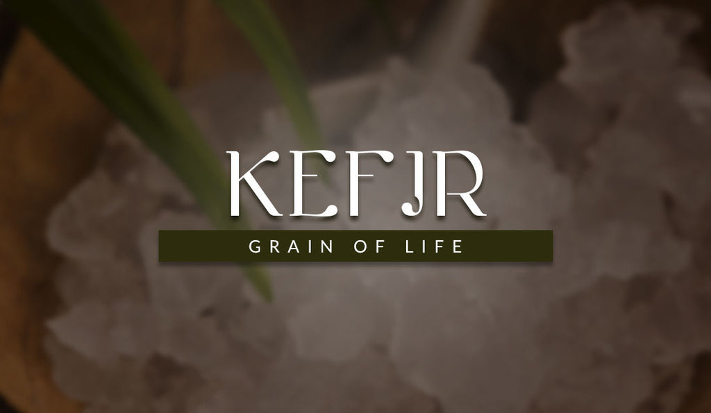 What Is Recommended Daily Dose Of Kefir Ttn Palawan