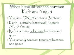 YOGURT And KEFIR (Difference And Its Benefits) – TTN Palawan Inc.